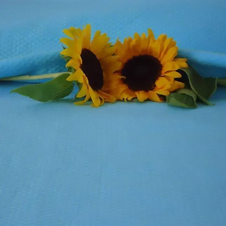 Mersina Exclusive 3* Naousa