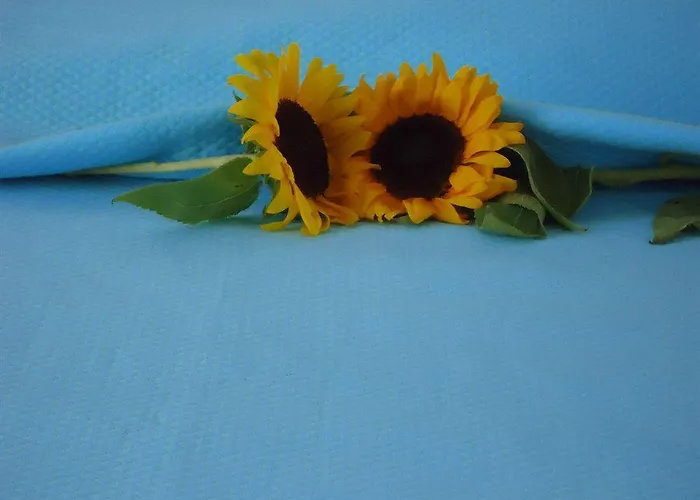 Mersina Exclusive 3* Náoussa